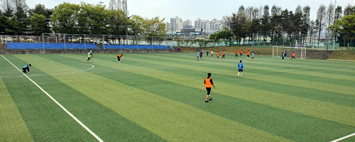 축구장 잔디 상태